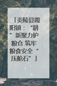 炎陵县霞阳镇：“耕”新聚力护粮仓 筑牢粮食安全“压舱石”
