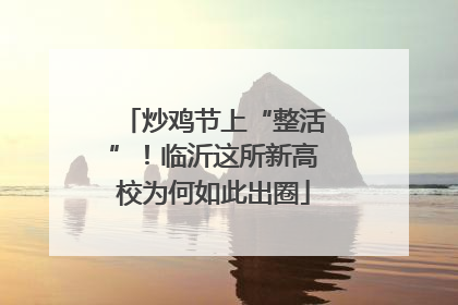 炒鸡节上“整活”！临沂这所新高校为何如此出圈