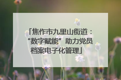 焦作市九里山街道：“数字赋能”助力党员档案电子化管理