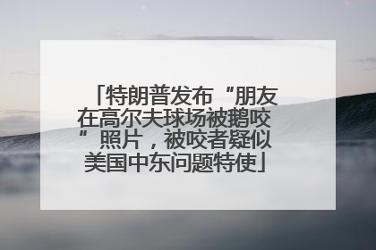 特朗普发布“朋友在高尔夫球场被鹅咬”照片，被咬者疑似美国中东问题特使
