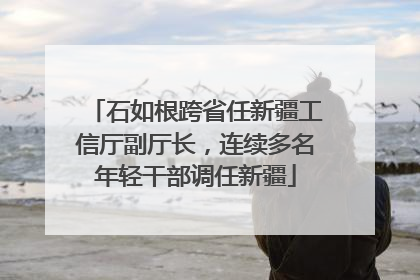 石如根跨省任新疆工信厅副厅长，连续多名年轻干部调任新疆