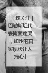 球关注｜巴勒斯坦代表掩面痛哭，加沙的真实现状让人痛心