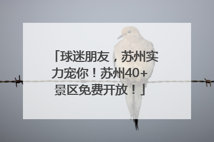 球迷朋友，苏州实力宠你！苏州40+景区免费开放！