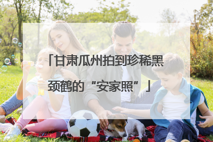 甘肃瓜州拍到珍稀黑颈鹤的“安家照”