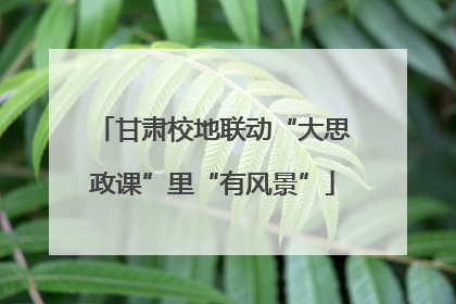 甘肃校地联动“大思政课”里“有风景”