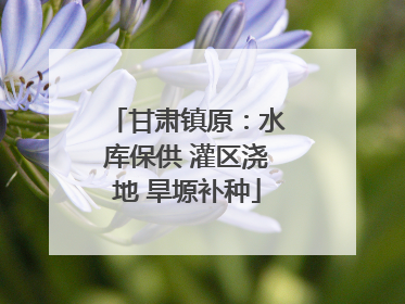 甘肃镇原：水库保供 灌区浇地 旱塬补种