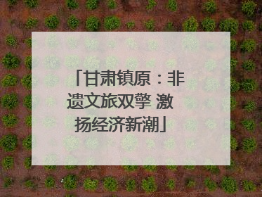 甘肃镇原：非遗文旅双擎 激扬经济新潮