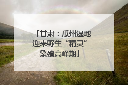 甘肃：瓜州湿地迎来野生“精灵”繁殖高峰期