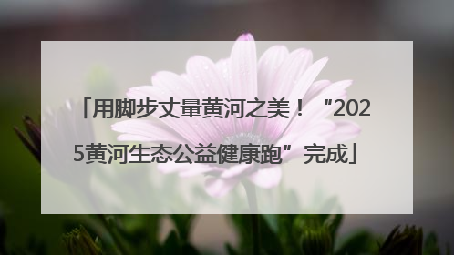 用脚步丈量黄河之美！“2025黄河生态公益健康跑”完成