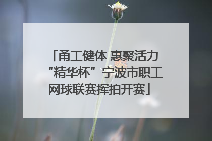 甬工健体 惠聚活力“精华杯”宁波市职工网球联赛挥拍开赛