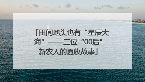 田间地头也有“星辰大海”——三位“00后”新农人的夏收故事