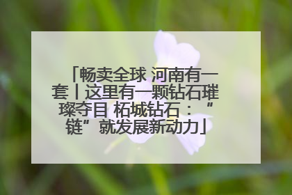 畅卖全球 河南有一套丨这里有一颗钻石璀璨夺目 柘城钻石：“链”就发展新动力