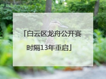 白云区龙舟公开赛时隔13年重启