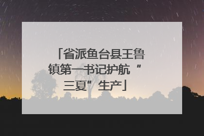 省派鱼台县王鲁镇第一书记护航“三夏”生产