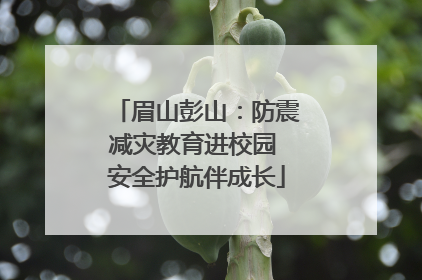 眉山彭山：防震减灾教育进校园 安全护航伴成长