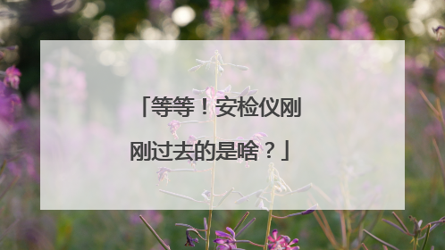 等等！安检仪刚刚过去的是啥？