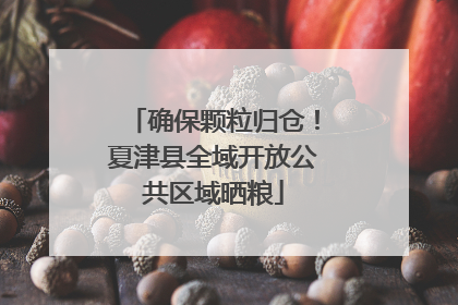 确保颗粒归仓！夏津县全域开放公共区域晒粮
