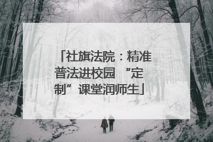社旗法院：精准普法进校园 “定制”课堂润师生