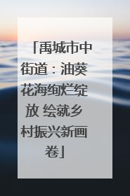 禹城市中街道：油葵花海绚烂绽放 绘就乡村振兴新画卷
