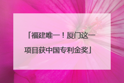 福建唯一！厦门这一项目获中国专利金奖