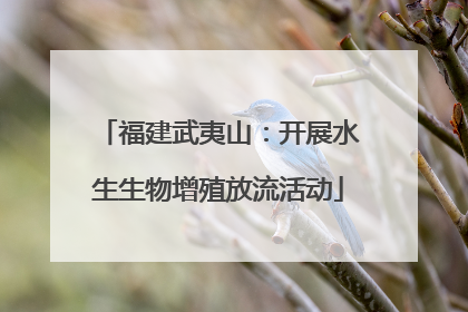 福建武夷山：开展水生生物增殖放流活动