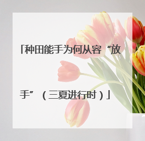 种田能手为何从容“放手”（三夏进行时）