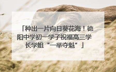 种出一片向日葵花海！德阳中学初一学子祝福高三学长学姐“一举夺魁”