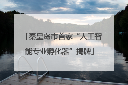 秦皇岛市首家“人工智能专业孵化器”揭牌