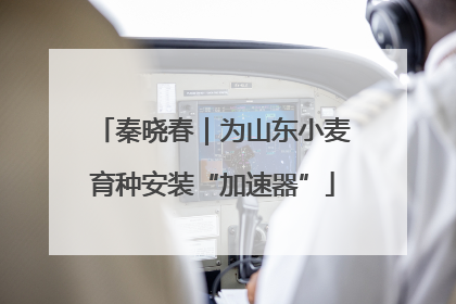 秦晓春｜为山东小麦育种安装“加速器”