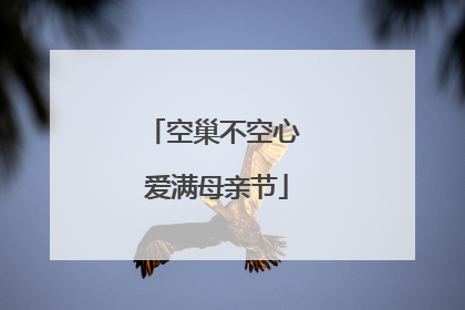 空巢不空心 爱满母亲节