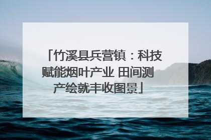 竹溪县兵营镇：科技赋能烟叶产业 田间测产绘就丰收图景