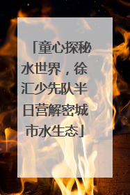童心探秘水世界，徐汇少先队半日营解密城市水生态