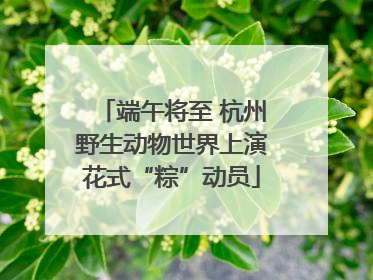 端午将至 杭州野生动物世界上演花式“粽”动员