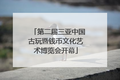 第二届三亚中国古玩暨钱币文化艺术博览会开幕