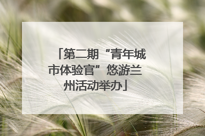 第二期“青年城市体验官”悠游兰州活动举办