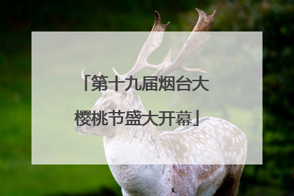 第十九届烟台大樱桃节盛大开幕