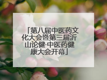 第八届中医药文化大会暨第三届沂山论健·中医药健康大会开幕