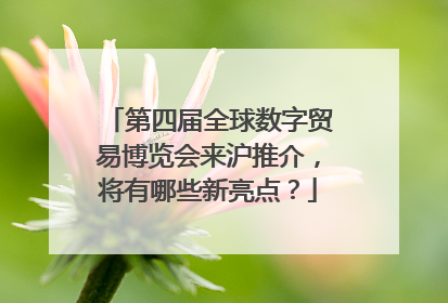 第四届全球数字贸易博览会来沪推介，将有哪些新亮点？