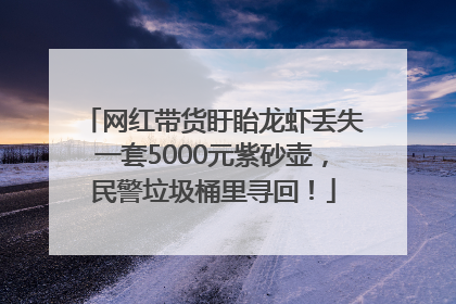 网红带货盱眙龙虾丢失一套5000元紫砂壶，民警垃圾桶里寻回！