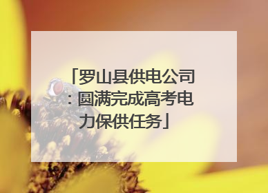 罗山县供电公司：圆满完成高考电力保供任务
