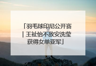 羽毛球印尼公开赛｜王祉怡不敌安洗莹 获得女单亚军