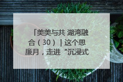美美与共 湖湾融合（30）｜这个思廉月，走进“沉浸式”清风课堂