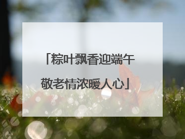 粽叶飘香迎端午 敬老情浓暖人心