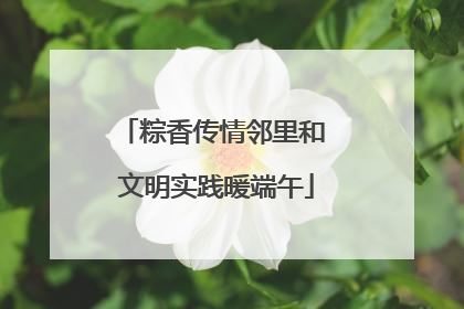 粽香传情邻里和 文明实践暖端午