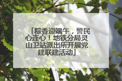 粽香迎端午，警民心连心！地铁分局灵山卫站派出所开展党建联建活动