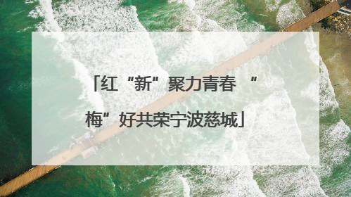 红“新”聚力青春 “梅”好共荣宁波慈城