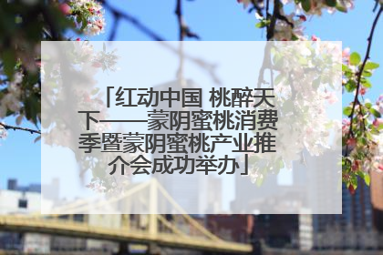 红动中国 桃醉天下——蒙阴蜜桃消费季暨蒙阴蜜桃产业推介会成功举办