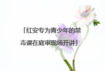 红安专为青少年的禁毒课在庭审现场开讲