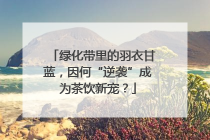 绿化带里的羽衣甘蓝，因何“逆袭”成为茶饮新宠？