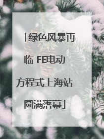 绿色风暴再临 FE电动方程式上海站圆满落幕